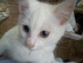 /album/our-animal-pics/picture-479-jpg/